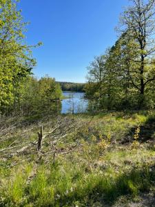 Helt hus m egen sjö