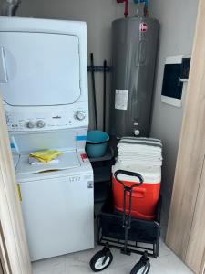 Nuevo Vallarta Maritime Golf 4U