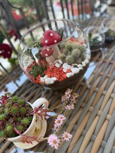 Apartments DoriDitaRejjan