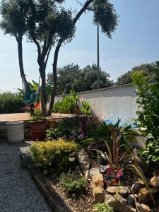 Villa des Bananiers