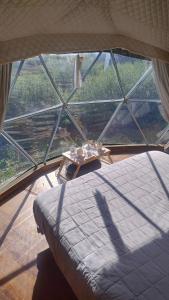 La Viella Glamp Sauco