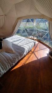 La Viella Glamp Sauco