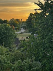 Uilehoeve aan de Waal