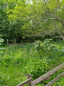 Écolodge Les Sentiers du Lac - Domaine de la Gaïa