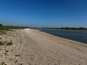 Uilehoeve aan de Waal