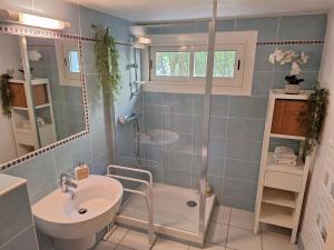 Le jardinet dEmma - Appart RDC avec jacuzzi, parking, au calme