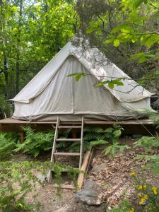 Campings Tente tipi en foret de chataigniers : photos des chambres