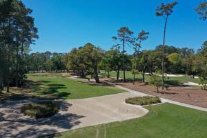 Spacious Pet-Friendly Home Sea Pines Golf Views