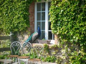 Maisons de vacances Gites De L'Etang Des Noues : photos des chambres