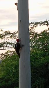 Habitaciones frente al mar