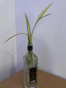 Trinco Shalom Guest & Restaurant