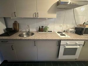 Cozy modern flat in suburb near center