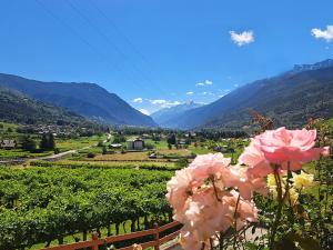 Una vetrina su Morgex