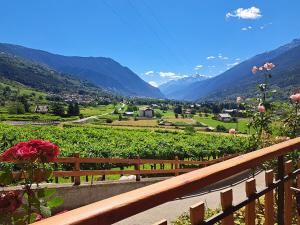 Una vetrina su Morgex