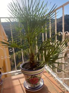 Apartmán Marcella, Cumbre del Sol