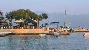 Porto Novi, Djenovici