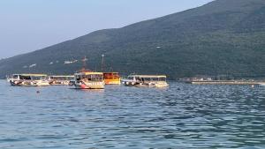 Porto Novi, Djenovici