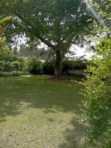 Appartements Charmant T1 avec jardin : photos des chambres
