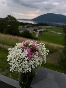 Ferienhaus Moser mit Pool