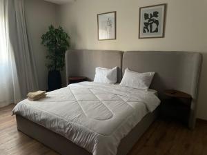 Apartment for rent in new cairo cfc