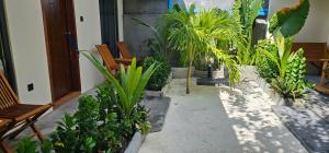 Madi Beach Guesthouse