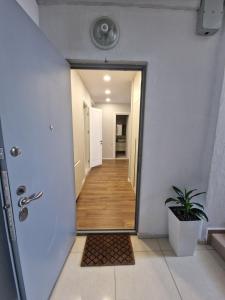 Comfortable apartment