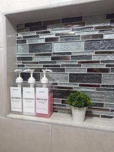 Beautiful loft in San José