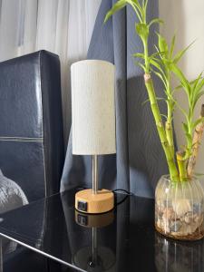 Beautiful loft in San José