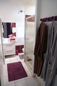 Chambres et Espace Détente Bien-Être Sologn'ami photo 21