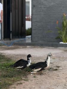 Mont Parnes Little House