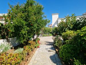 Villa Violeta