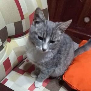 Hospedaje Don Manuel