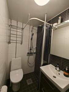 1 bedroom apartment In Kallio