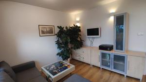 White Cloud Apartment