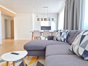 Apartment for 7, close to Zurich and Luzern, free private parking