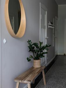 Traumkrone Ferienwohnungen - Wiesengrün