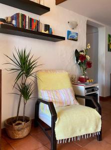 Casa Linda da Praia do Alfamar