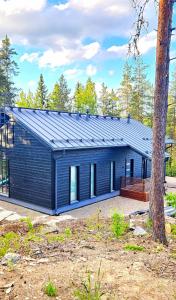 Huippumökki Himos