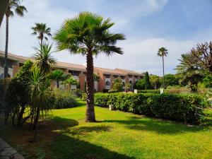 Appartamento climatizzato di 42 mq a Marina di Bravone a 200m dalla spiaggia