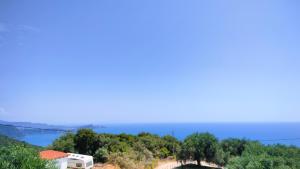 Studios Evgenia Parga