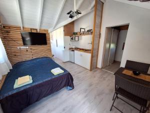 Cozy mono SMA