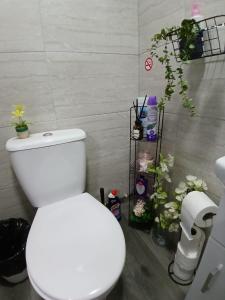 15 Stylish Digbeth private Studio Apt City Centre