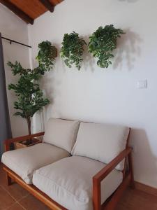 Countryside Apartment