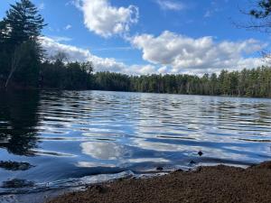 Waterfront In Law Suite on Wolf Pond
