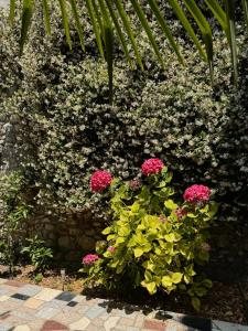 MoodHaus - City Garden Escape