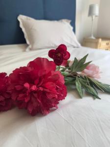 B&B / Chambres d'hotes La Forestiere du Chateau : photos des chambres