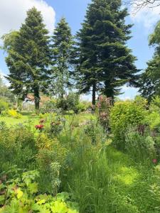 La Forestière du Château