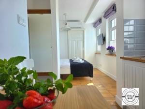 Studio Apartment room in Apartamenty Stella Mare - 365PAM