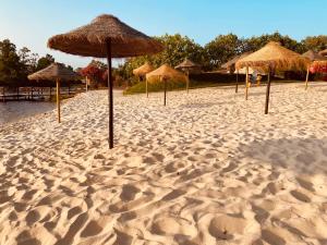 CasaBaixinha- Mina São Domingos-Praia Fluvial-3minutos-Terraço