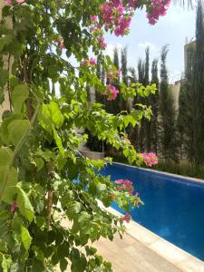 Villa avec piscine privée Alger sans vis à vie